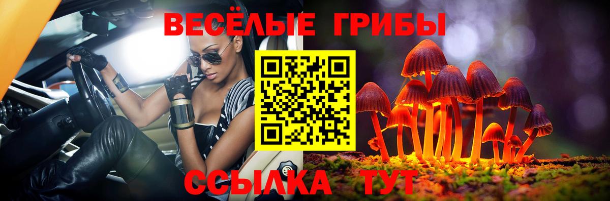 цена наркотик  Псилоцибиновые грибы ЛСД  Полевской  Вход с VPN  Псилоцибиновые грибы Psilocybe 