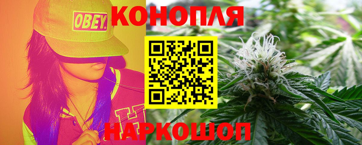 Бошки марихуана конопля Полевской